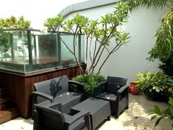 Terrene At Bukit Timah (D21), Condominium #499328221